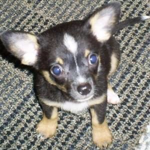 Meet your Posher, Johnny